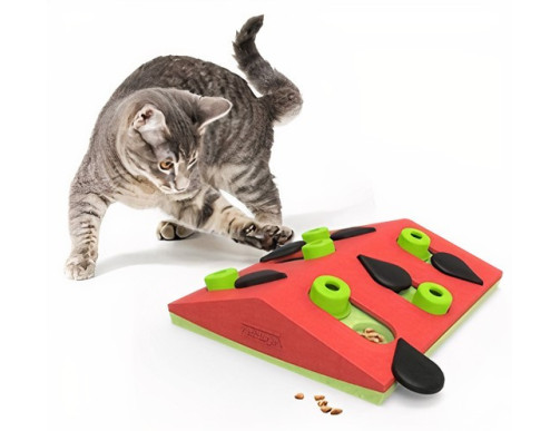 JEU D'INTELLIGENCE POUR CHAT MELON MADNESS