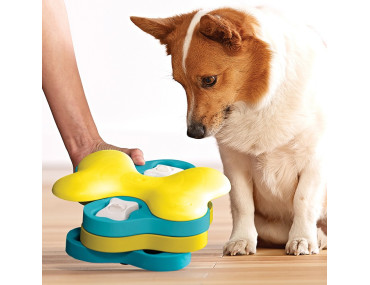 JEU D'INTELLIGENCE DOG SMART TORNADO - NIVEAU 2