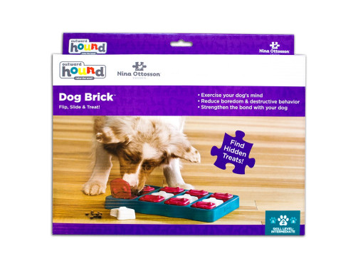 JEU D'INTELLIGENCE DOG SMART BRICK - NIVEAU 2