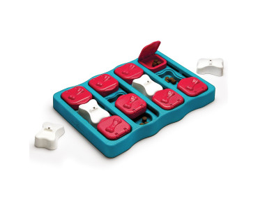 JEU D'INTELLIGENCE DOG SMART BRICK - NIVEAU 2