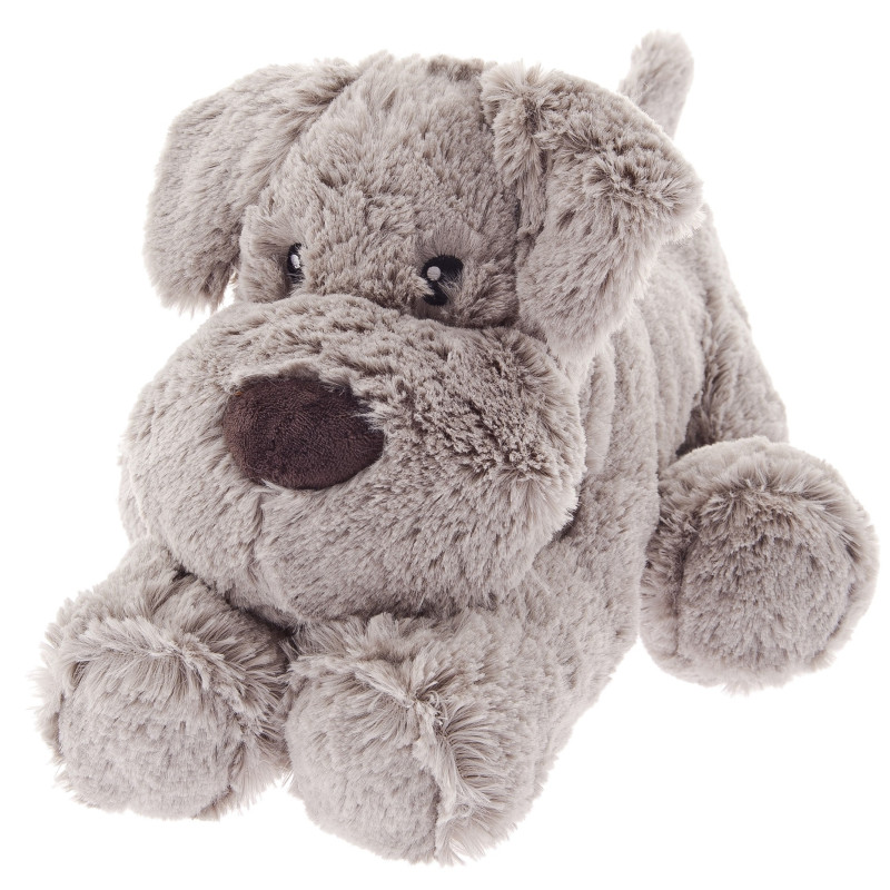 NOUNOURS CHIEN