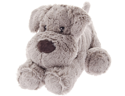 NOUNOURS CHIEN