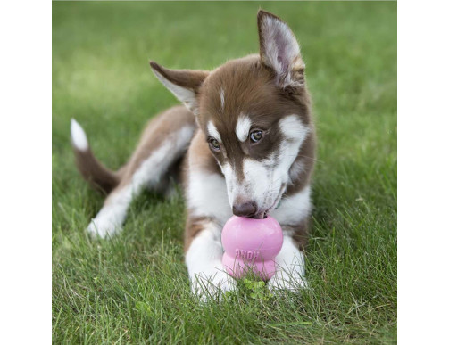 GARNITURE KONG EASY TREAT PUPPY