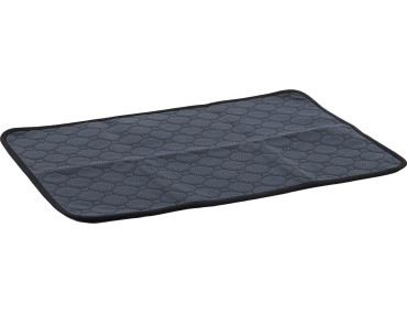 TAPIS EDUCATEUR PATSY