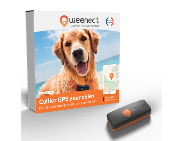 GPS CHIEN WEENECT BLACK EDITION