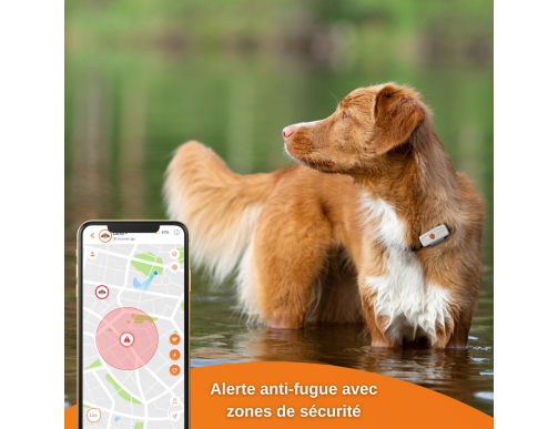 GPS CHIEN WEENECT WHITE EDITION