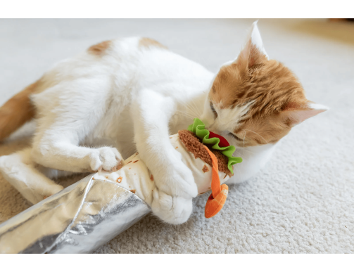 SHRIMP PURRITO CATNIP SHRIMP PURRITO CATNIP