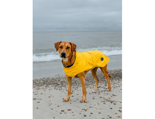 IMPERMÉABLE MILFORD JAUNE