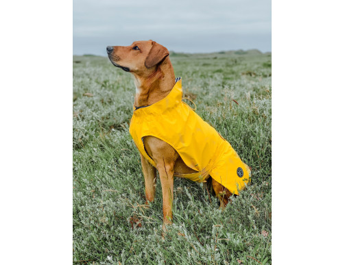 IMPERMÉABLE MILFORD JAUNE