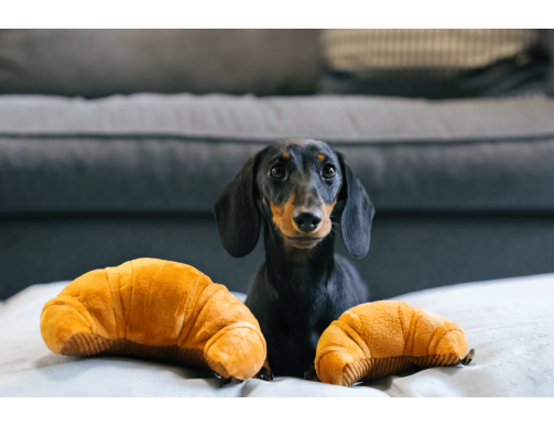 PELUCHE CROISSANT GRAND