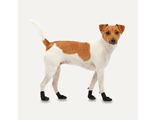 CHAUSSONS POUR CHIEN LITES