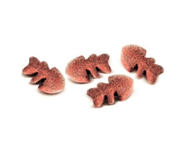 FRIANDISES CRUNCHY CARNILOVE POUR CHAT AU SAUMON