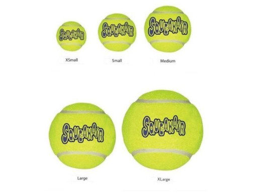 BALLES DE TENNIS SQUEAKAIR KONG X3