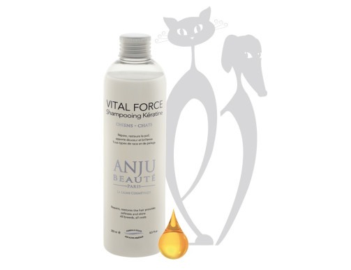 SHAMPOOING ANJU VITAL FORCE KERATINE