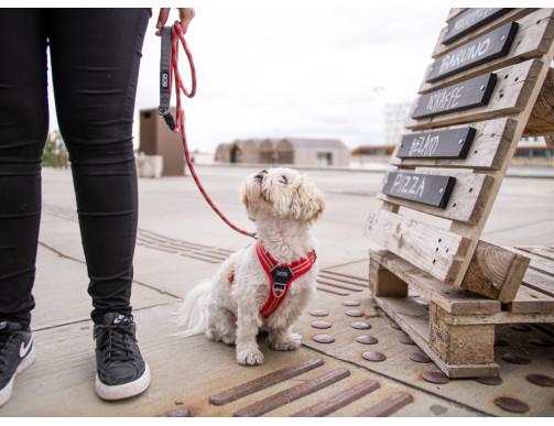 HARNAIS DOG COPENHAGEN COMFORT WALK AIR ROUGE