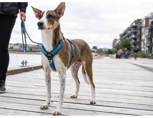 HARNAIS DOG COPENHAGEN COMFORT WALK AIR ROUGE