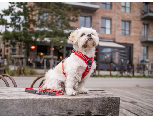 HARNAIS DOG COPENHAGEN COMFORT WALK AIR ROUGE