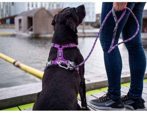 HARNAIS DOG COPENHAGEN COMFORT WALK AIR ROUGE