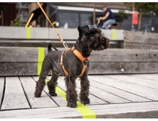 HARNAIS DOG COPENHAGEN COMFORT WALK AIR ROUGE