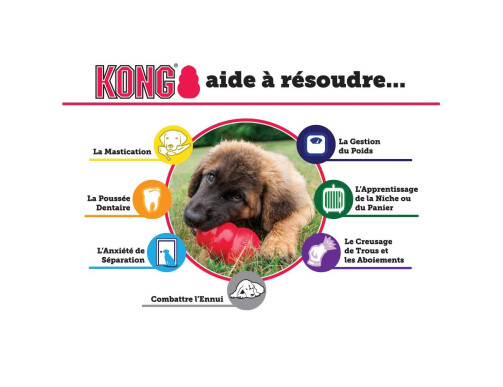 JOUET KONG CLASSIC JOUET KONG CLASSIC