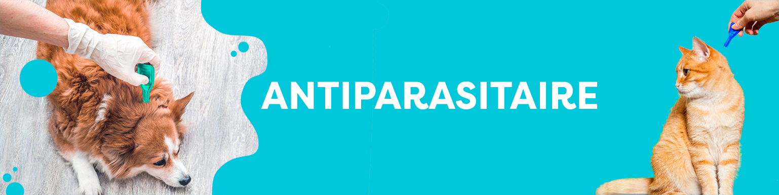 ANTIPARASITAIRE