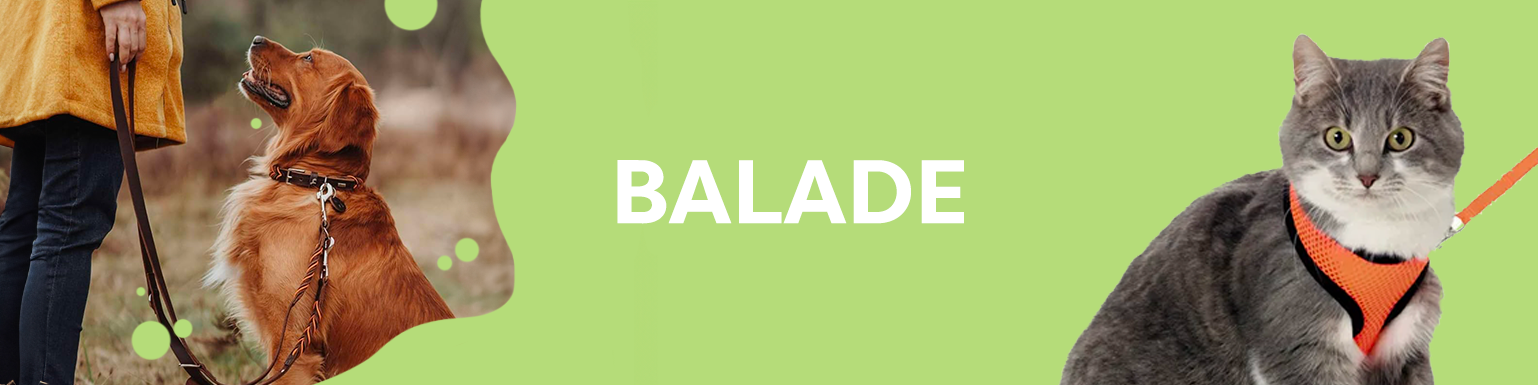 BALADE