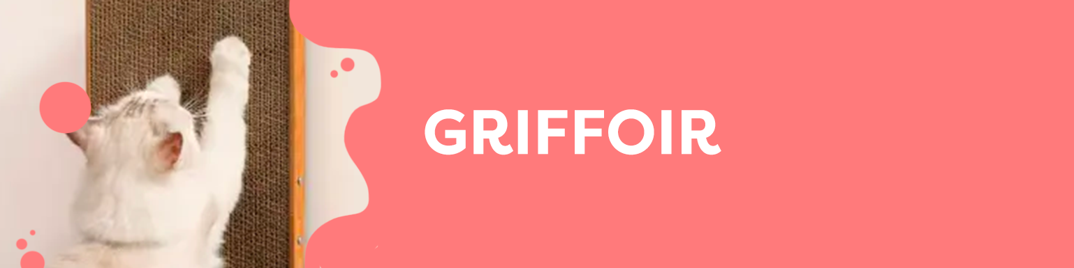 GRIFFOIR